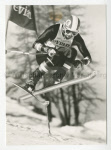 0_000_000_382.jpg