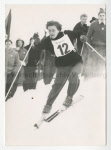 0_000_000_384.jpg