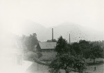 0_000_000_024.jpg