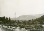 0_000_000_303.jpg