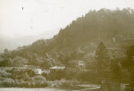 0_000_000_306.jpg