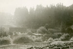 0_000_000_307.jpg