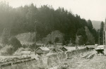 0_000_000_308.jpg