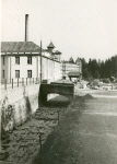 0_000_000_312.jpg