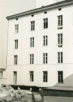 0_000_000_313.jpg
