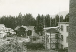0_000_000_316.jpg