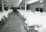 0_000_000_335.jpg
