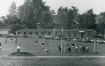 0_000_000_342.jpg