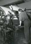 0_000_000_351.jpg