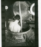 0_000_000_428.jpg