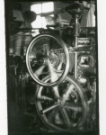 0_000_000_432.jpg