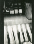 0_000_000_551.jpg