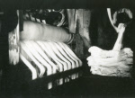 0_000_000_552.jpg