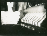 0_000_000_573.jpg