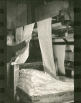 0_000_000_605.jpg
