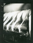 0_000_000_610.jpg