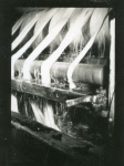 0_000_000_613.jpg