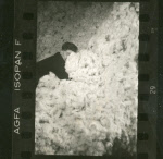 0_000_000_624.jpg