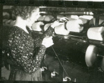 0_000_000_637.jpg