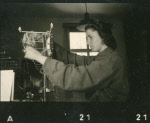 0_000_000_646.jpg