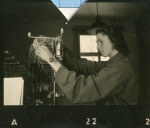 0_000_000_647.jpg