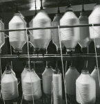 0_000_000_719.jpg