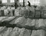 0_000_000_724.jpg