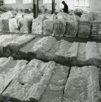 0_000_000_725.jpg