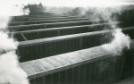 0_000_000_763.jpg