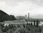 0_000_000_774.jpg