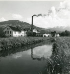 0_000_000_785.jpg