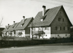 0_000_000_813.jpg