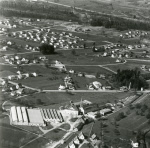 0_000_000_815.jpg