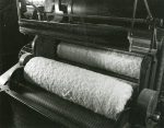 0_000_000_890.jpg