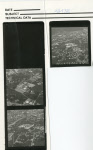 0_000_000_924.jpg