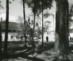 0_000_000_937.jpg