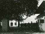 0_000_000_944.jpg
