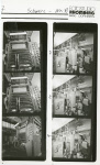 0_000_000_981.jpg