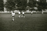 0_000_001_303.jpg
