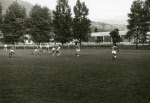 0_000_001_306.jpg