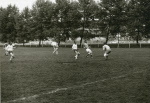 0_000_001_307.jpg