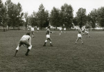 0_000_001_308.jpg