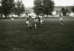 0_000_001_310.jpg