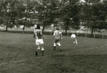 0_000_001_311.jpg