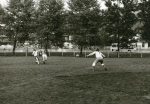 0_000_001_312.jpg