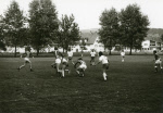 0_000_001_313.jpg