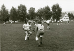 0_000_001_315.jpg