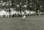 0_000_001_316.jpg