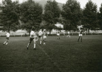 0_000_001_320.jpg