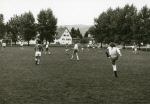 0_000_001_322.jpg